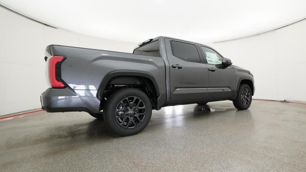 New 2026 Magnetic Gray Metallic Toyota Platinum image 34