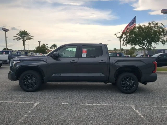 New 2026 Magnetic Gray Metallic Toyota Platinum image 7