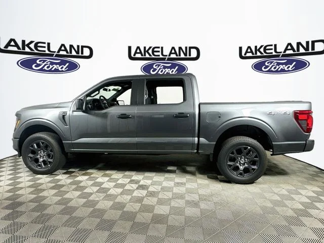New 2026 Gray Ford STX image 6