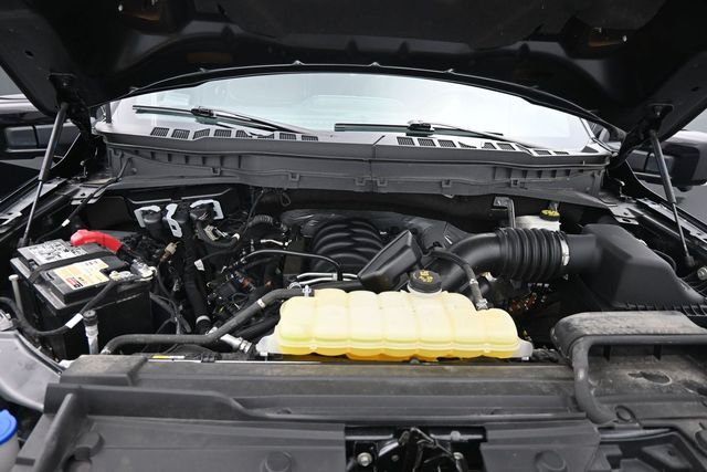 Used 2023 Black Ford Platinum image 14