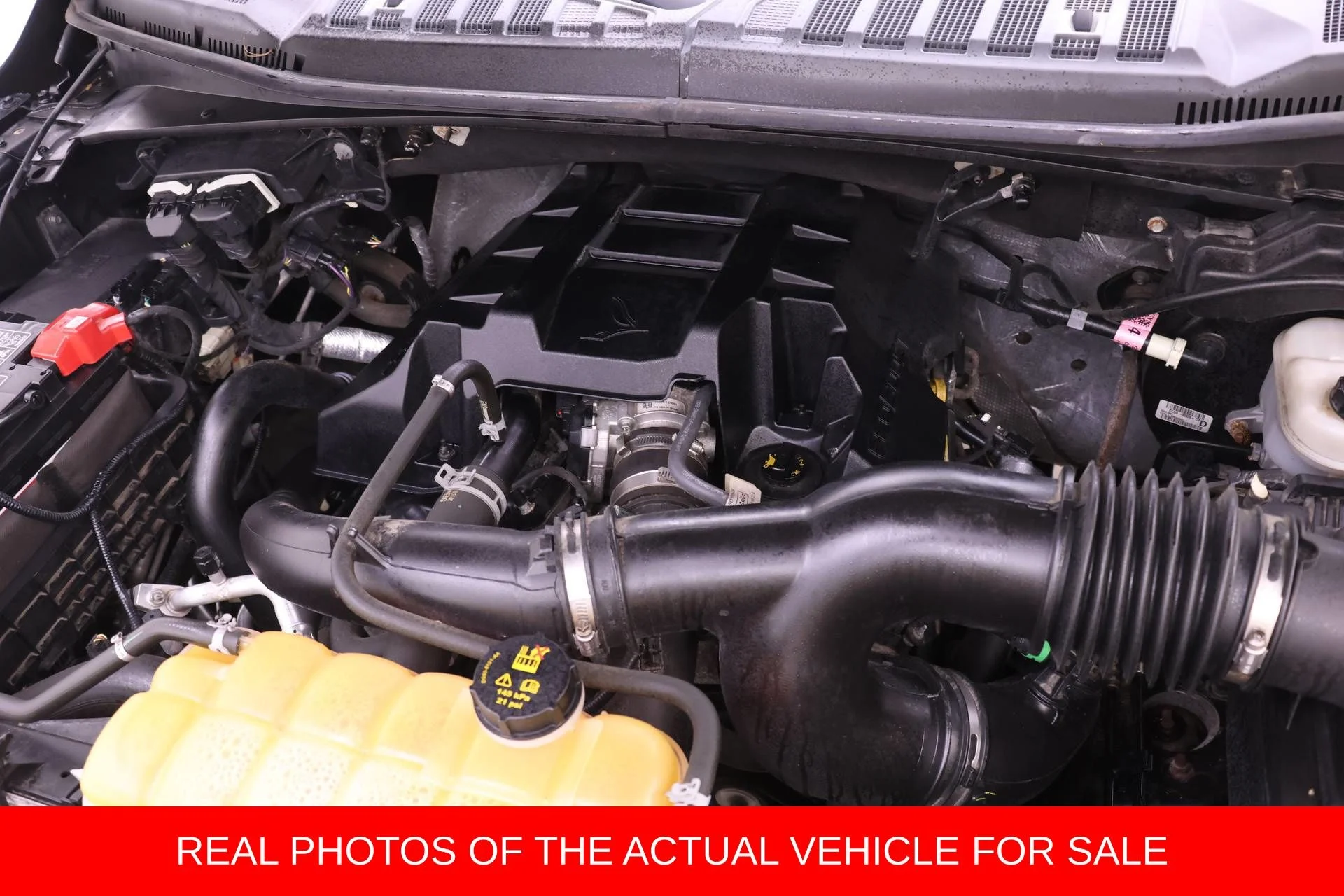 Used 2016 Black Ford XLT image 17