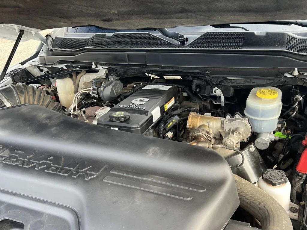 Used 2021 White Ram Limited image 9
