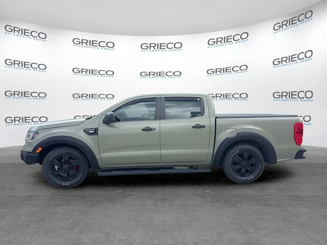 Used 2019 Ingot Silver Ford XL image 10