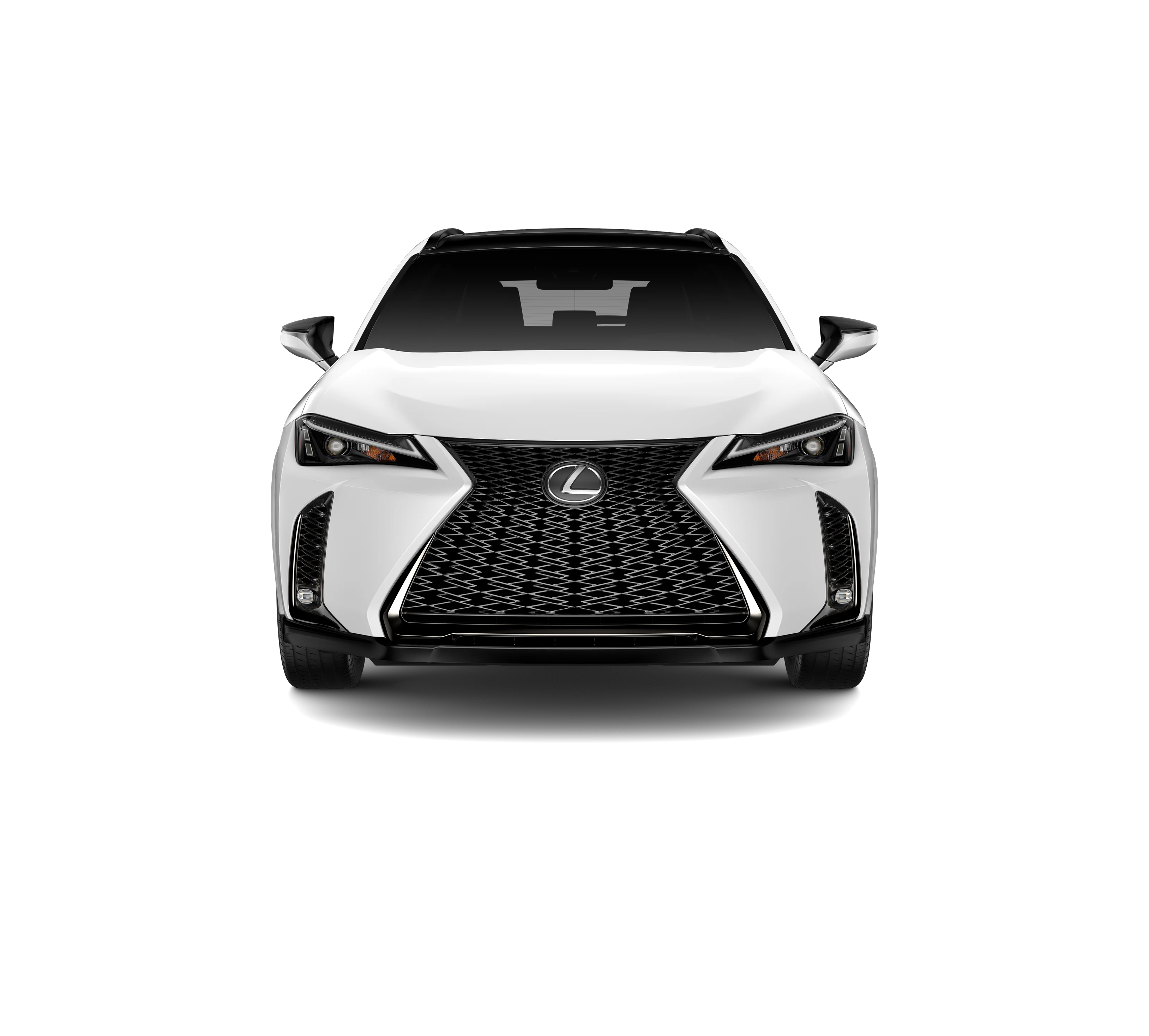 New 2026 Ultra White with Obsidian roof Lexus UX 300h F SPORT DESIGN AWD image 5