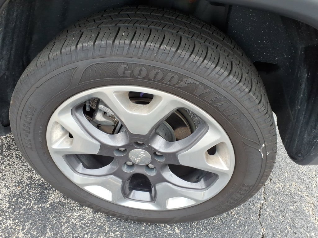 Photo 5