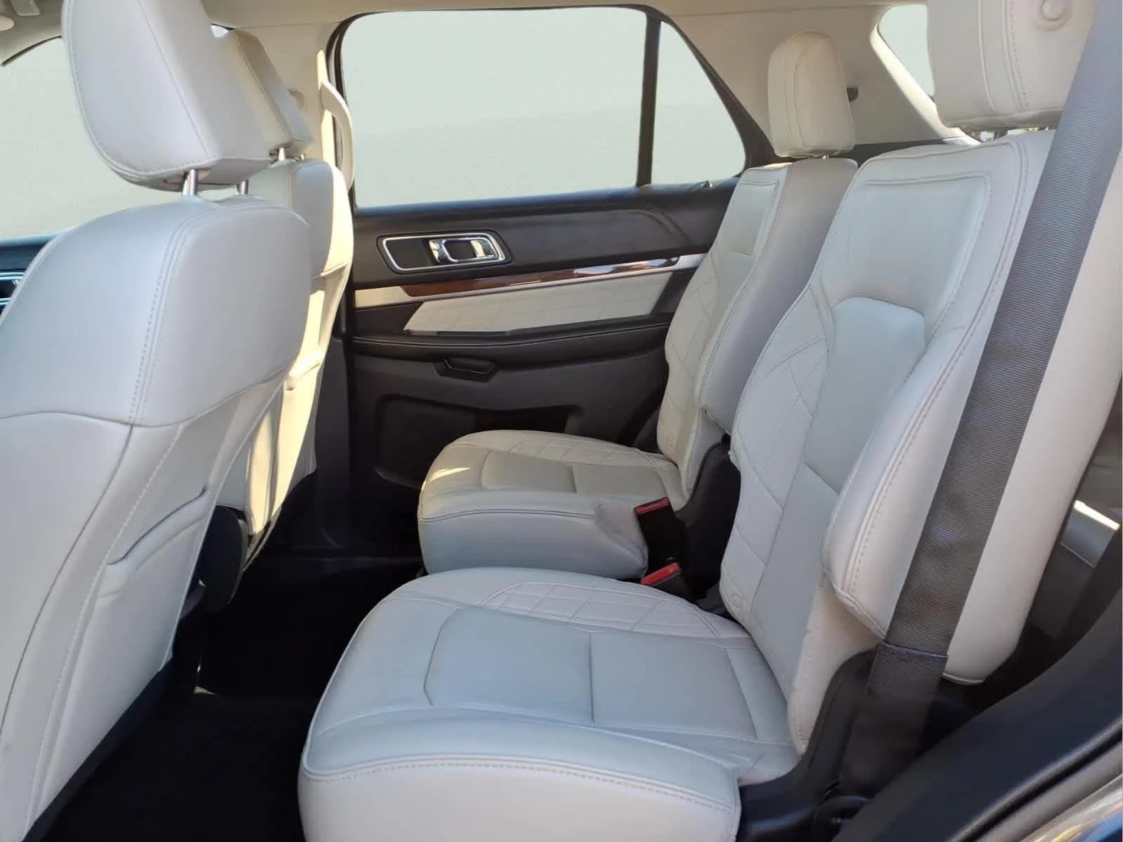 Used 2018 Magnetic Ford Platinum image 29