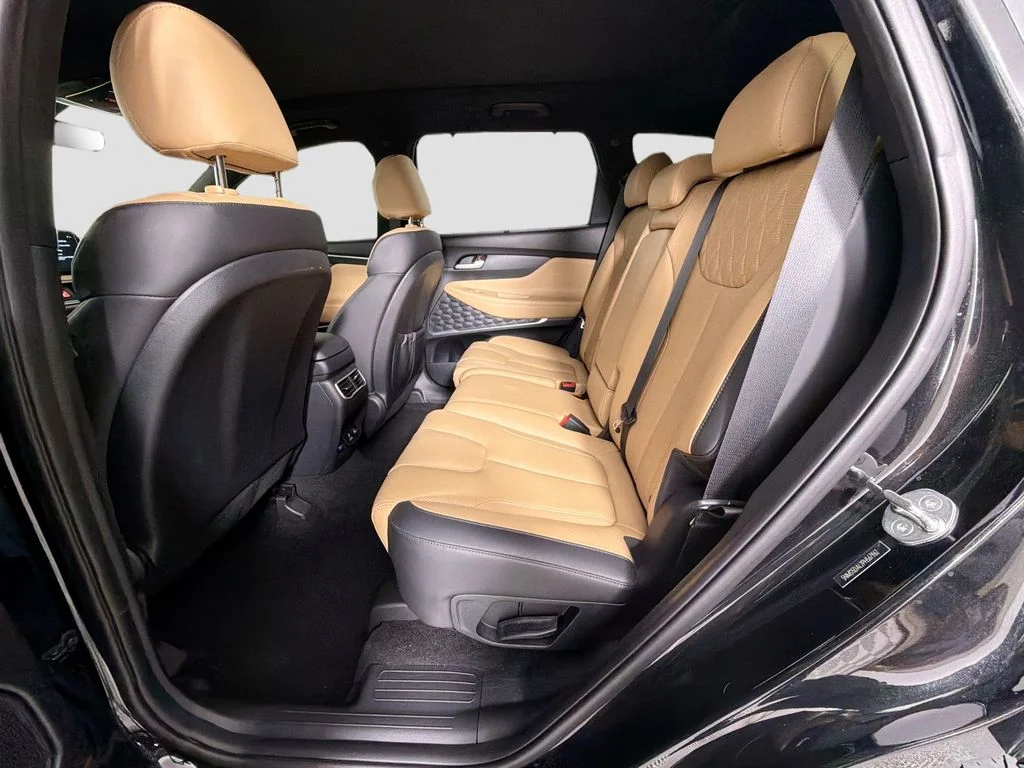 Used 2023 Black Hyundai Calligraphy image 26