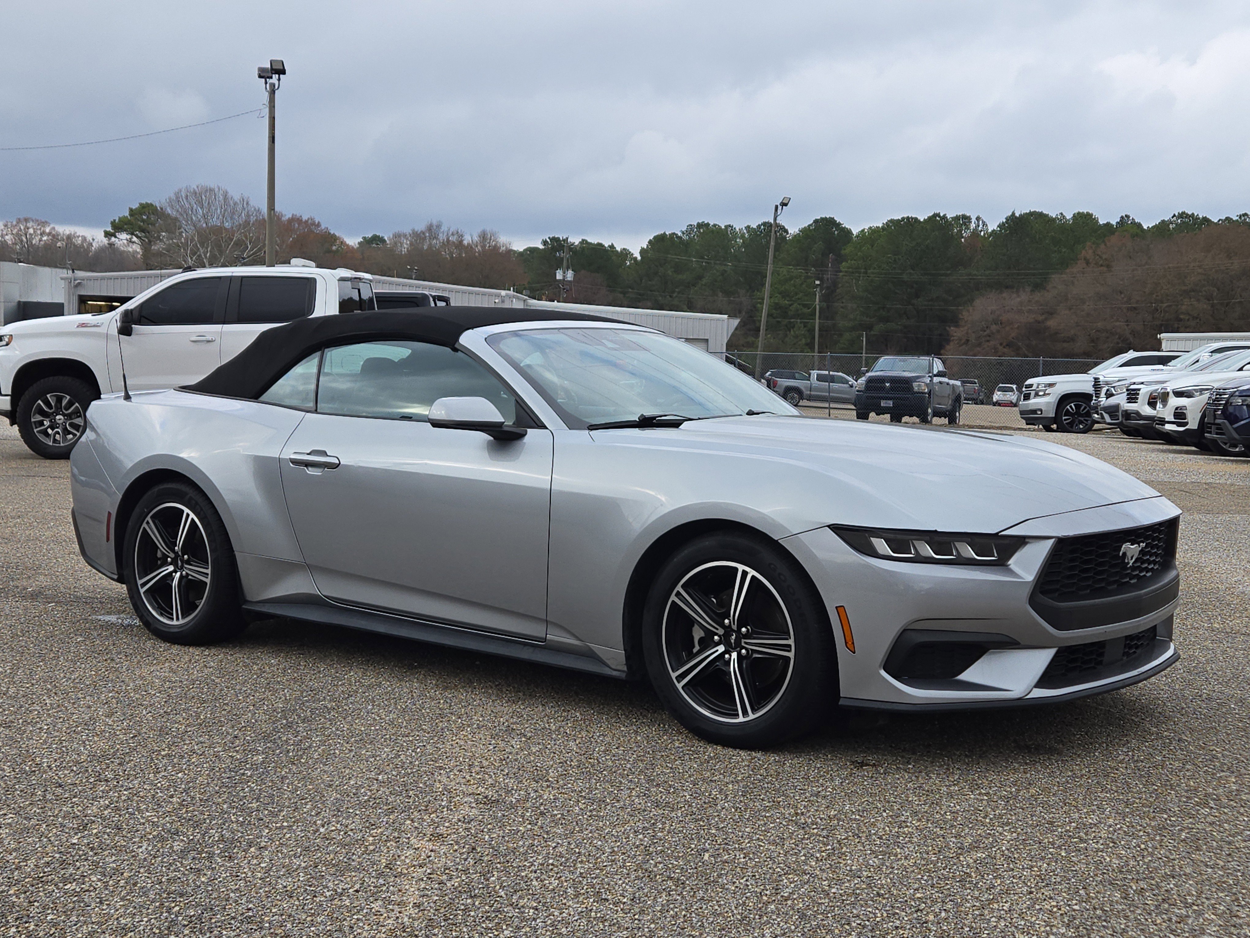 2024 Ford Mustang EcoBoost - Photo 4