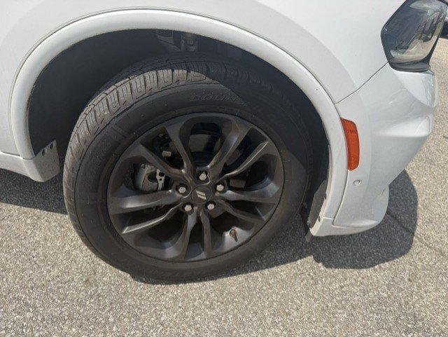 Photo 41