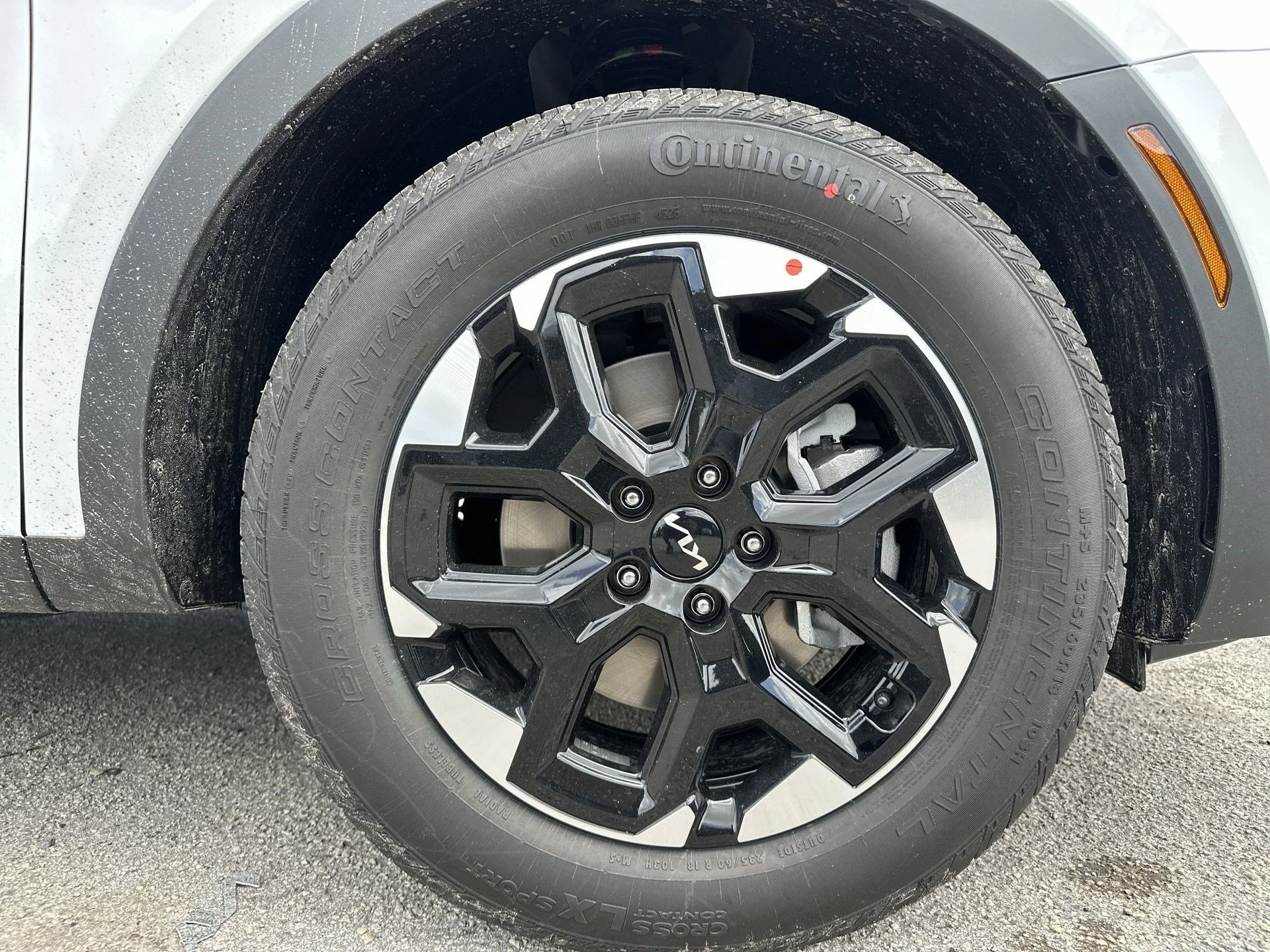 New 2026 Glacial White Pearl Kia S image 11