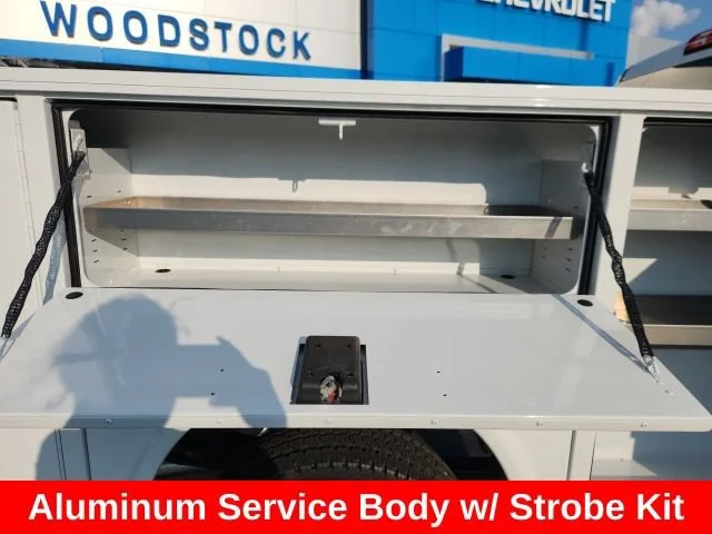 Used 2024 Summit White Chevrolet WT image 15