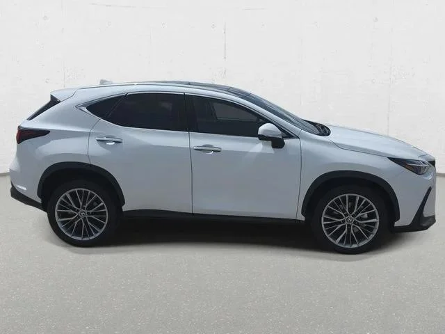 2026 Lexus NX 350 Luxury - Photo 11