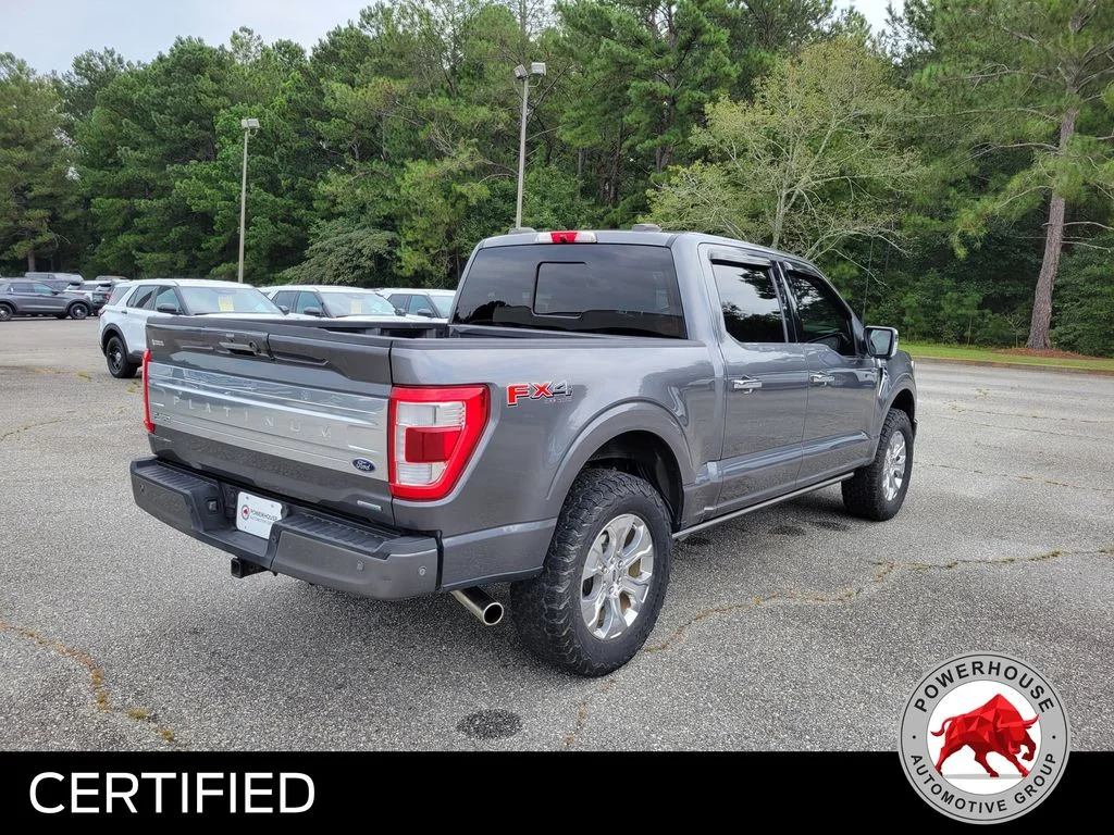Used 2023 Gray Ford Platinum image 6