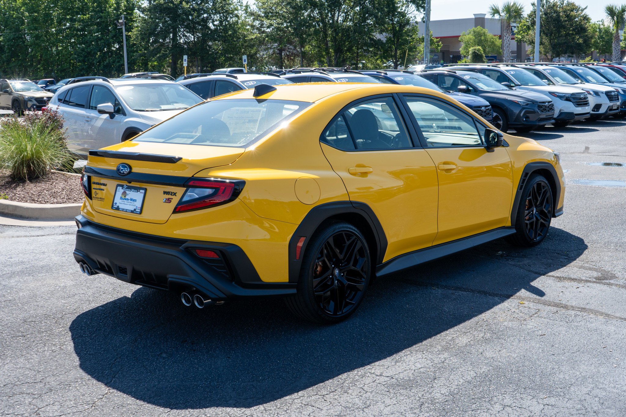 New 2026 SUNRISE YELLOW Subaru Series.Yellow image 3