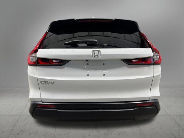 New 2027 Platinum White Pearl Honda EX image 4