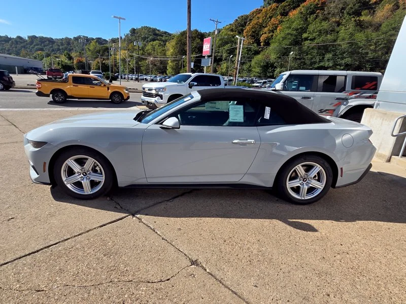 New 2026 Avalanche Gray Ford EcoBoost® Premium Convertible image 4