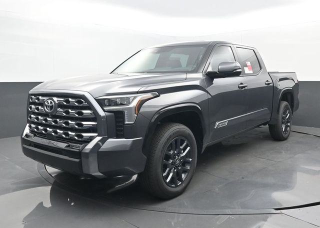 New 2026 Magnetic Gray Metallic Toyota Platinum image 23
