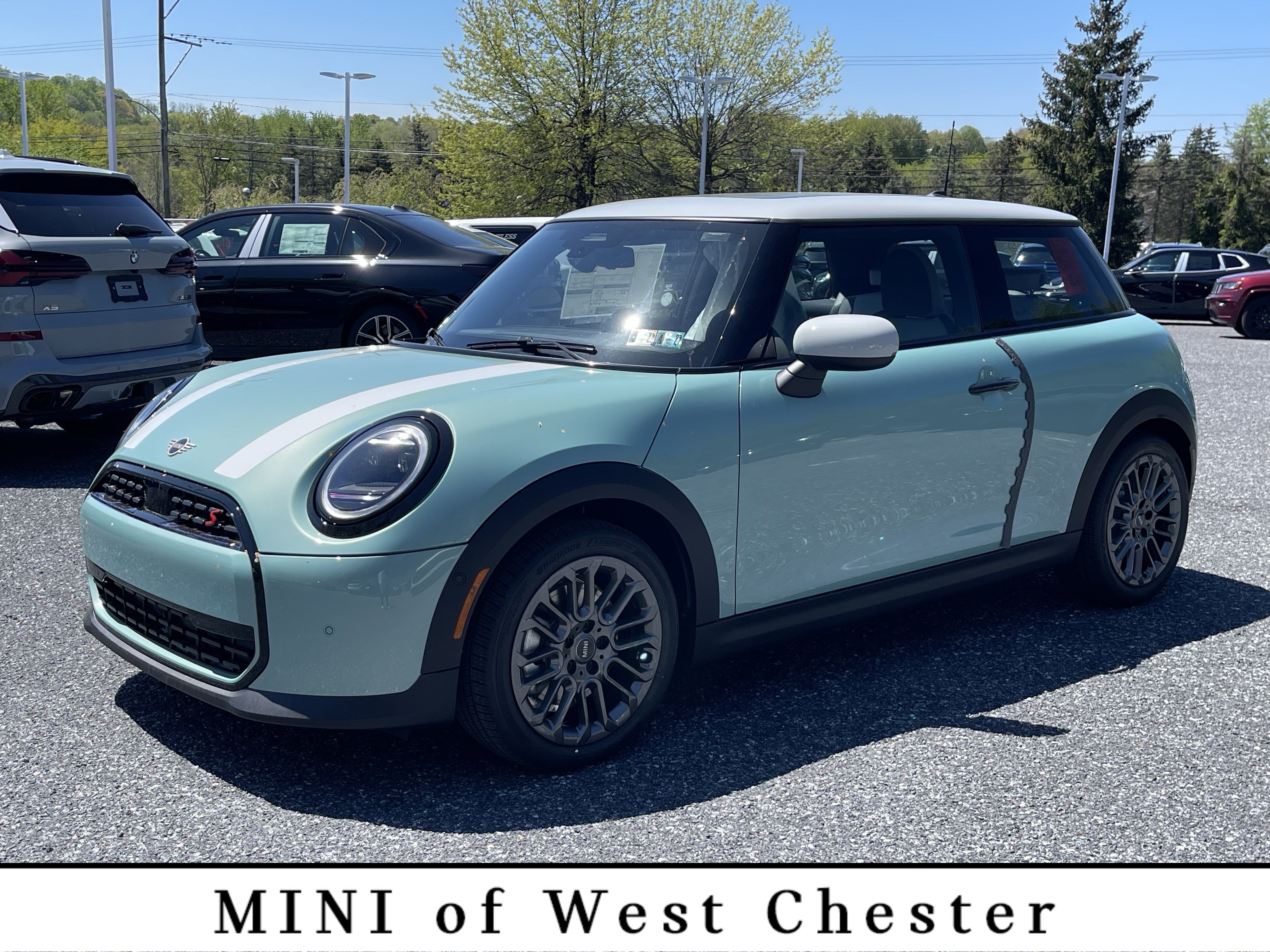 Used 2026 OCEAN WAVE GREEN MINI Base image 1