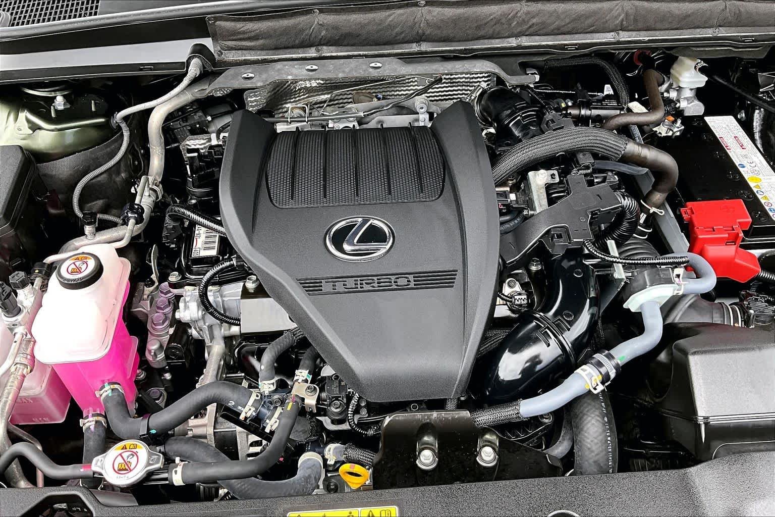 Used 2025 Nori Green Pearl Lexus Premium image 33