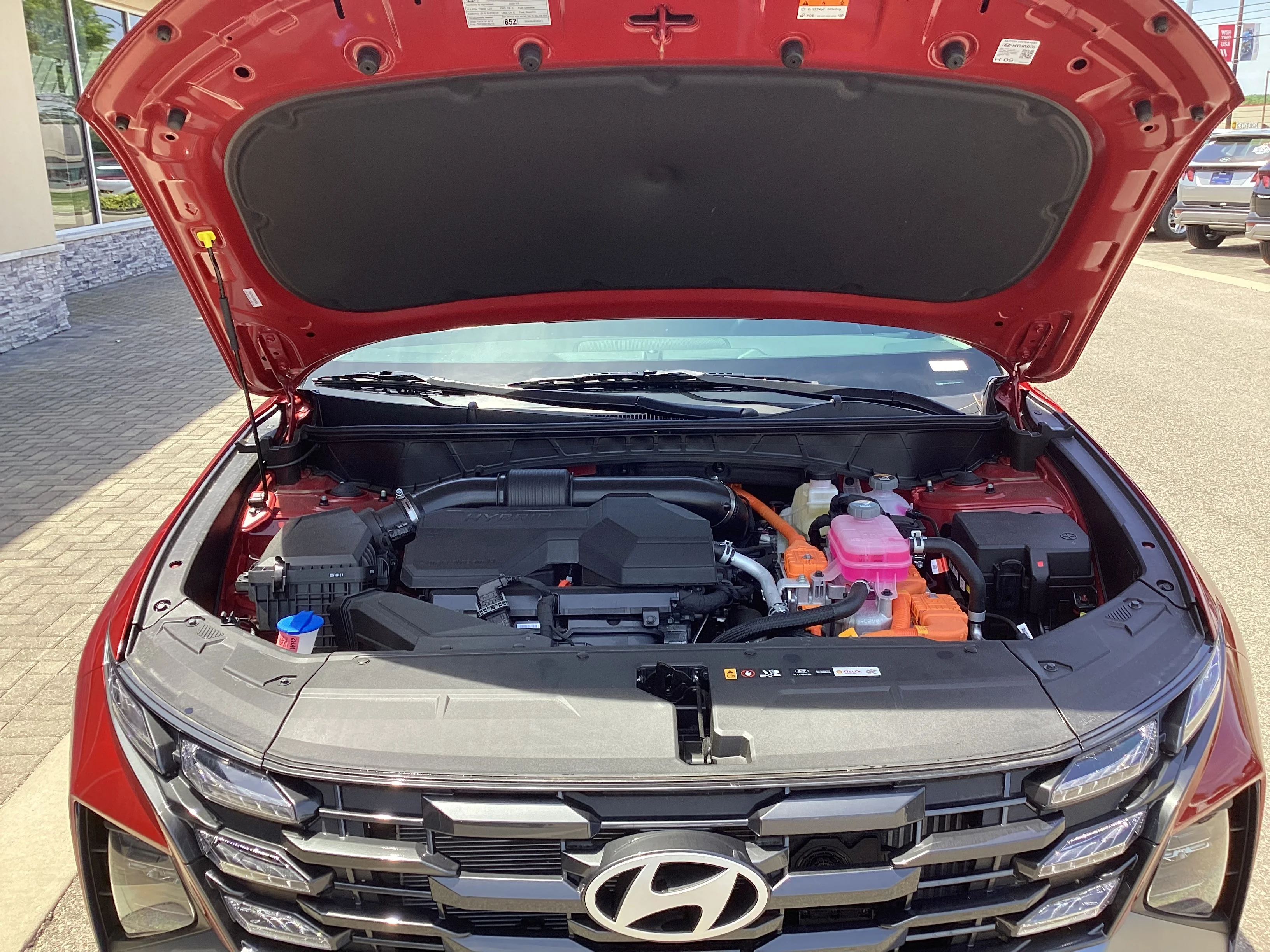 New 2026 Ultimate Red Pearl Hyundai Blue SE image 11