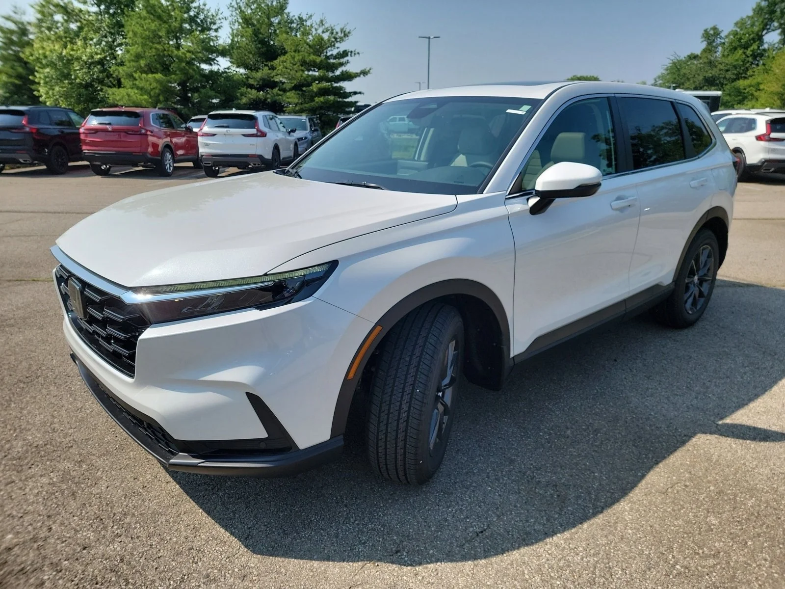 New 2026 Platinum White Pearl Honda EX-L image 3