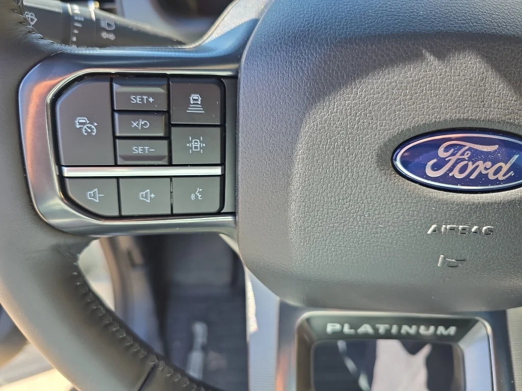 2025 Ford F-150 Platinum - Photo 17