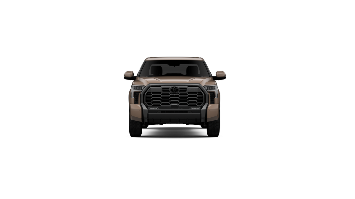 New 2026 Mudbath Toyota Platinum image 17