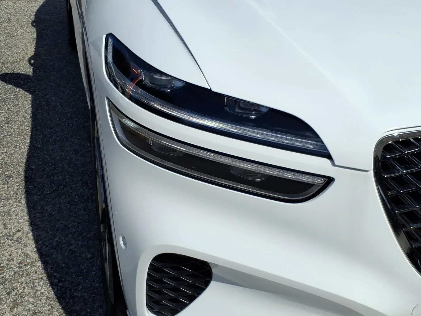 Used 2023 Alta White Genesis 2.5T image 6