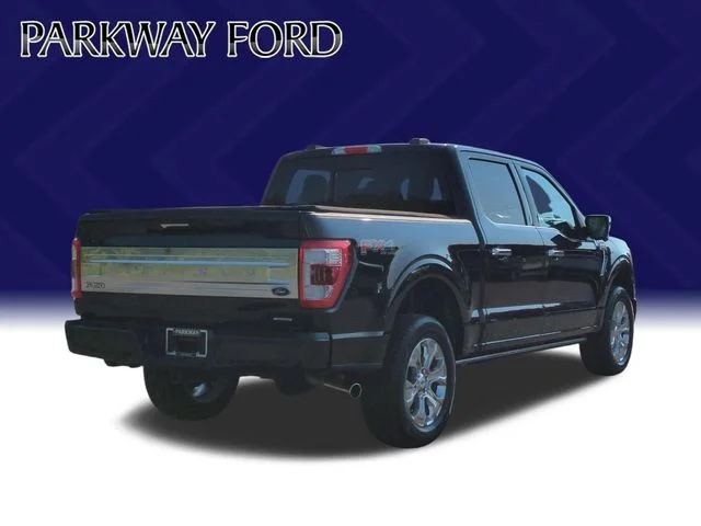 Used 2023 Black Ford Platinum image 5