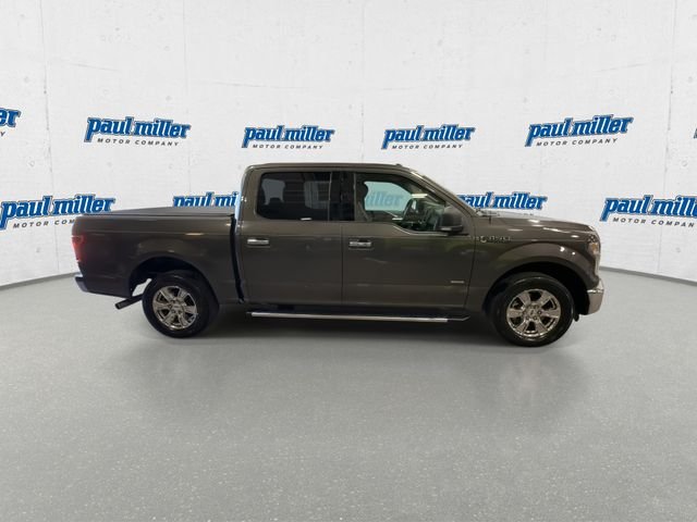 Used 2016 Magnetic Ford XLT image 12