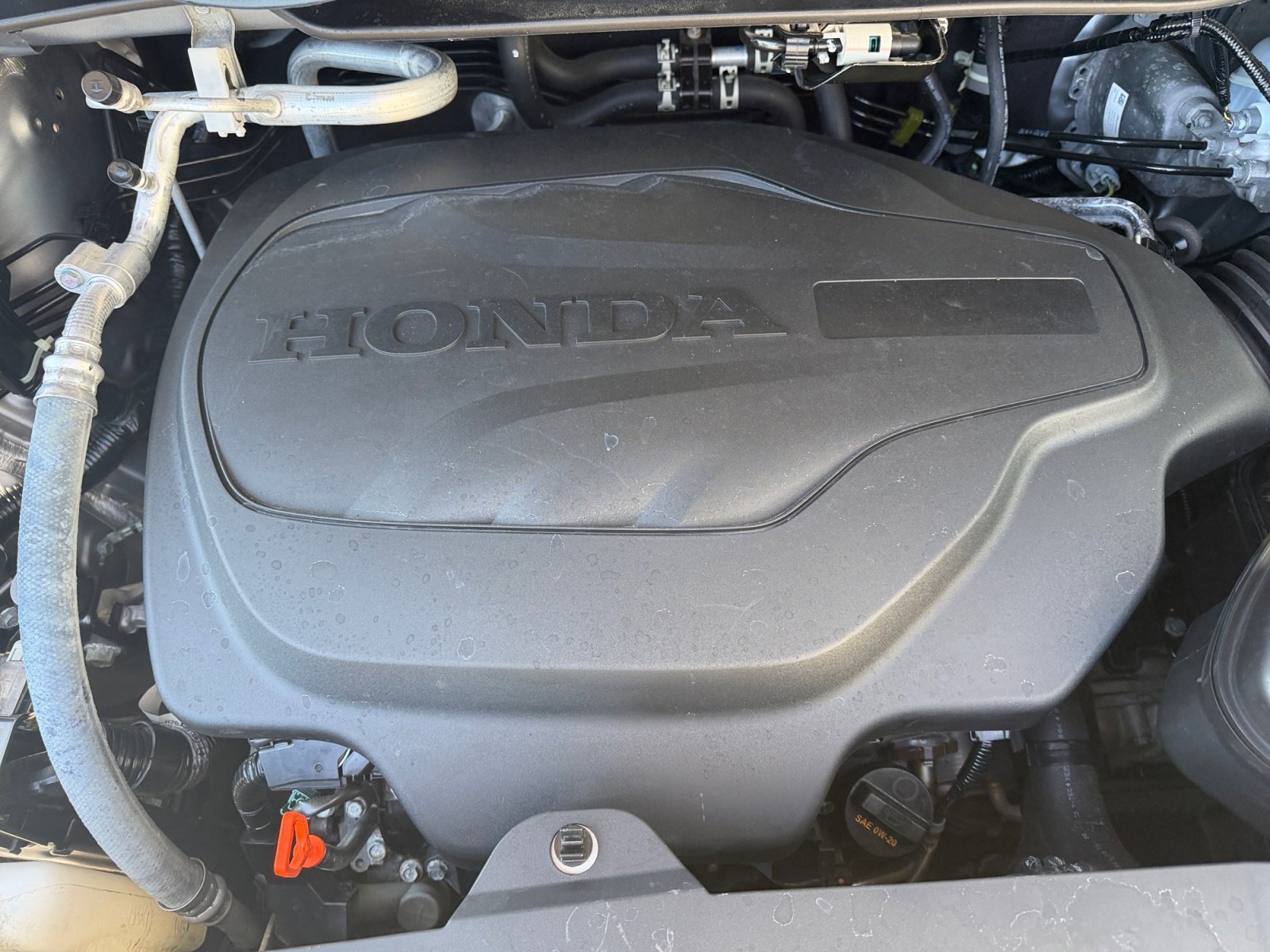 Used 2023 Lunar Silver Metallic Honda Elite image 7