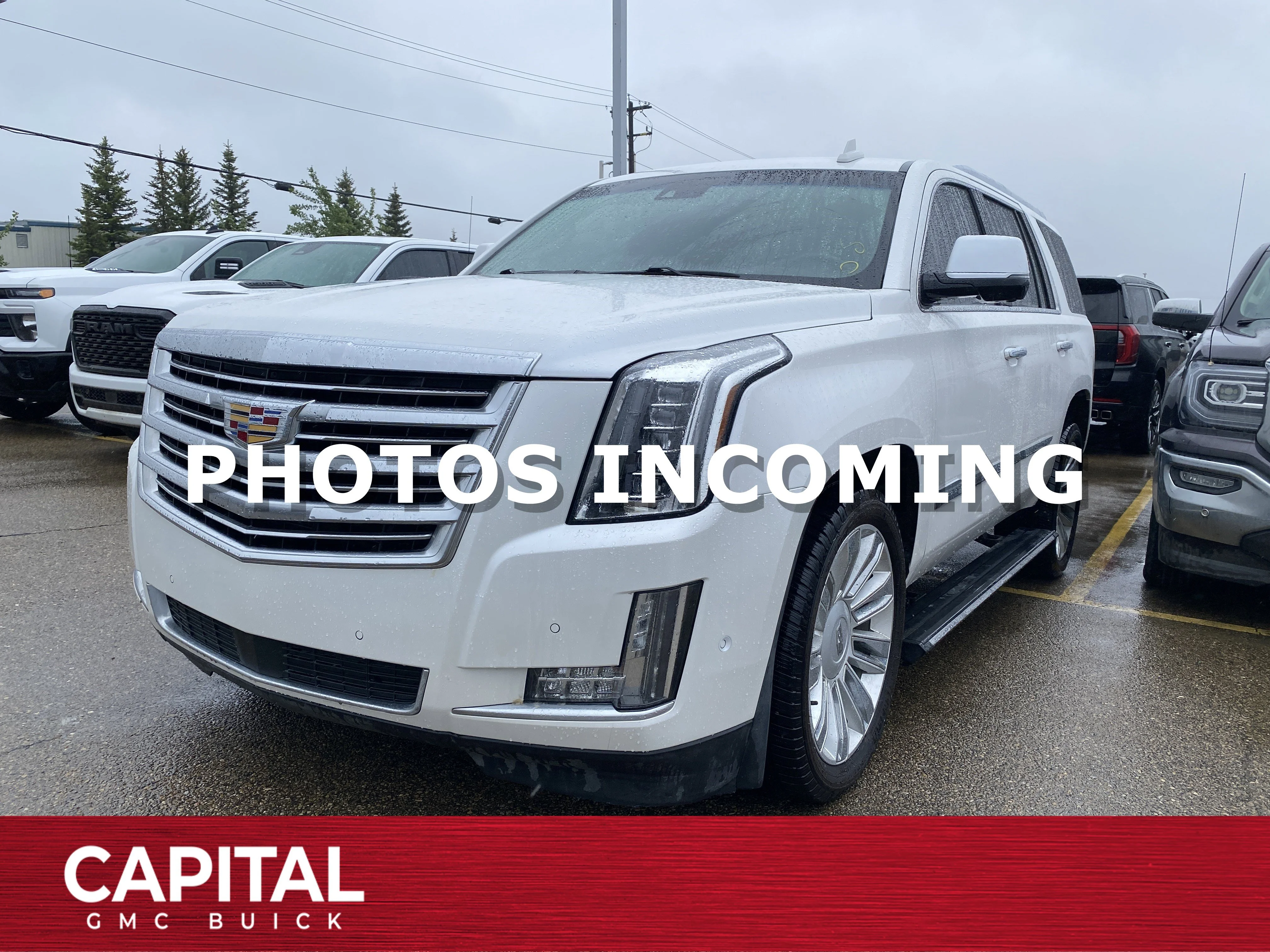Used 2017 White Cadillac Platinum 4WD image 1