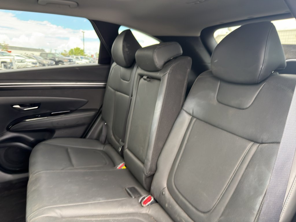 Used 2024 White Pearl Hyundai SEL Convenience image 11