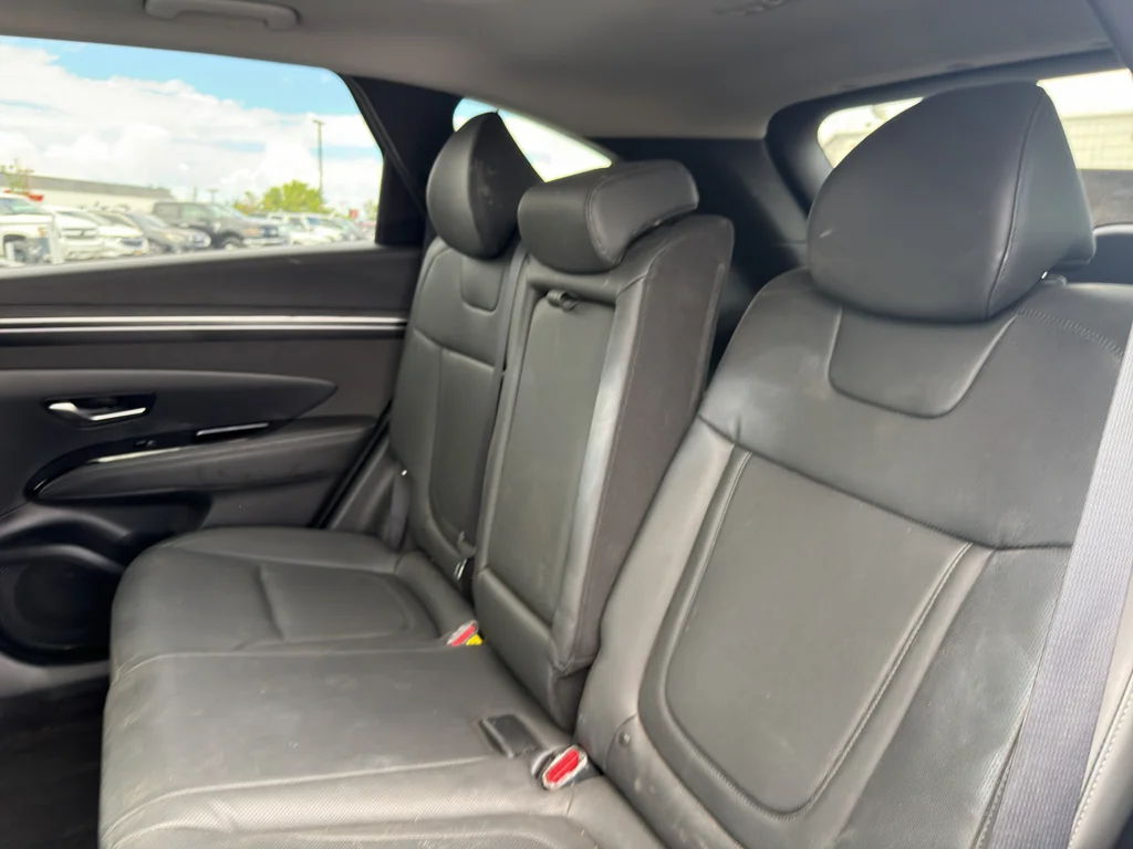Used 2024 White Pearl Hyundai SEL Convenience image 11