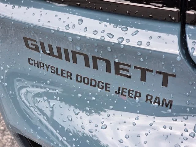 New 2026 Sub-Zero Exterior Paint Dodge R/T image 27