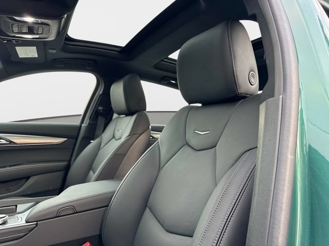 New 2026 Typhoon Metallic Cadillac Premium Luxury image 18