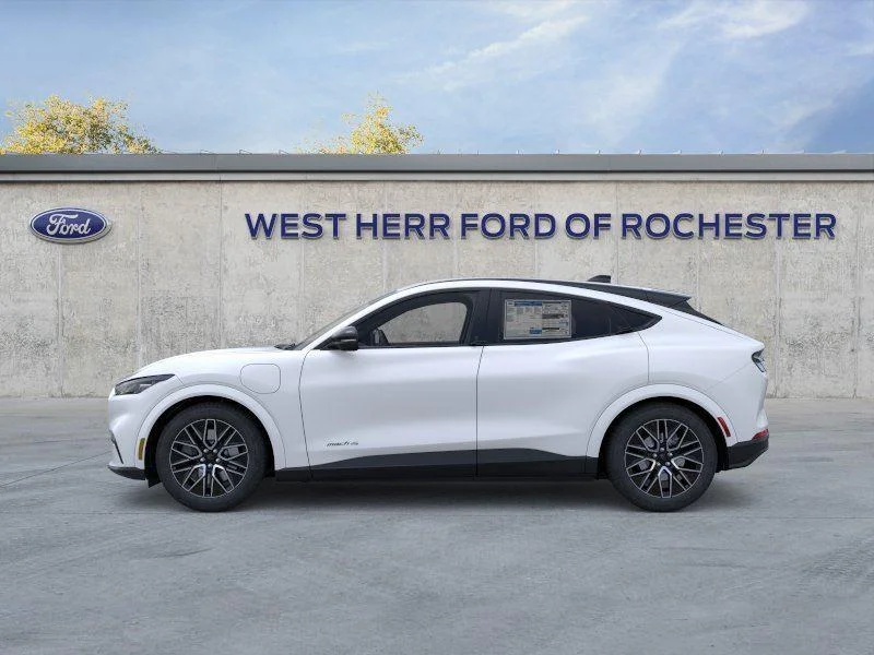 New 2026 Star White Metallic Tri-coat Ford Premium image 4