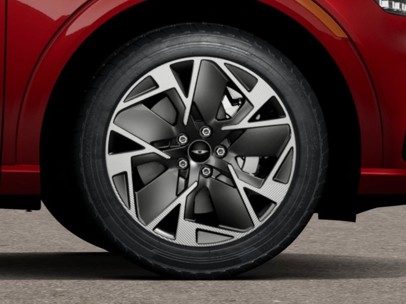 New 2026 Red Genesis STANDARD image 30