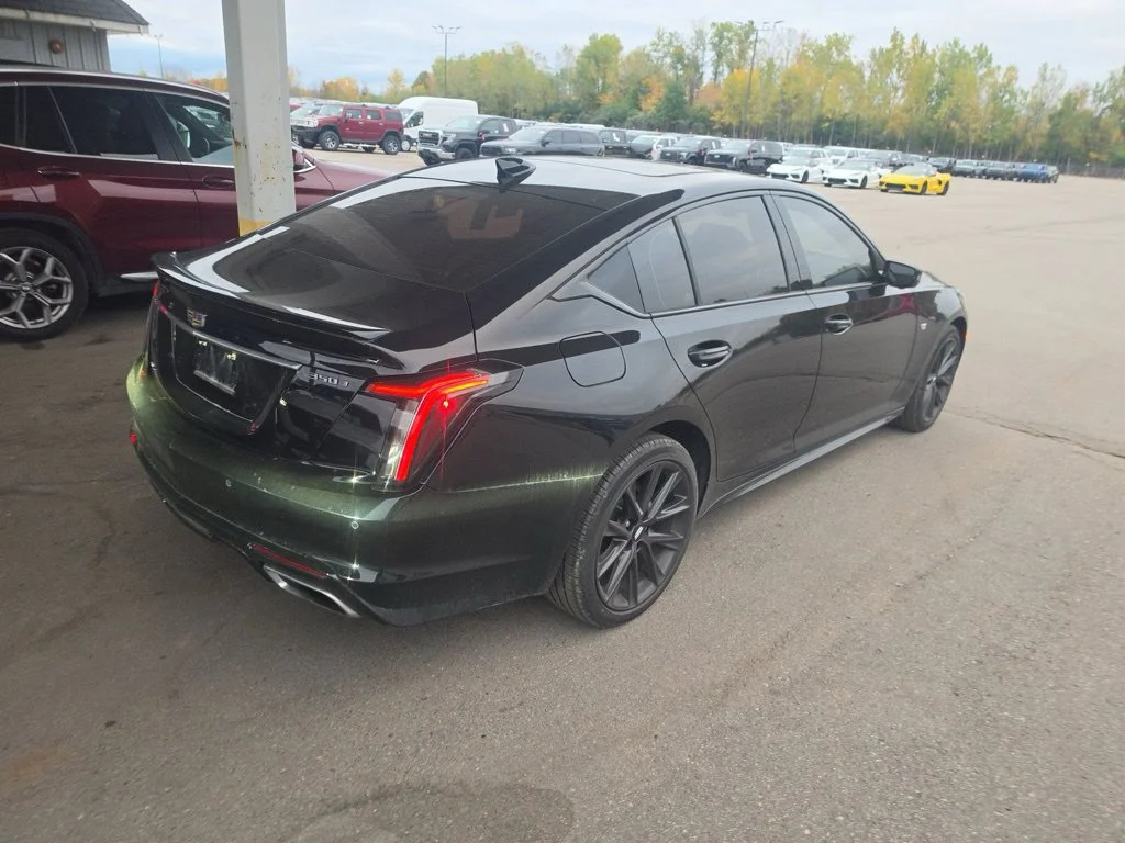 1G6DU5RK8N0136359