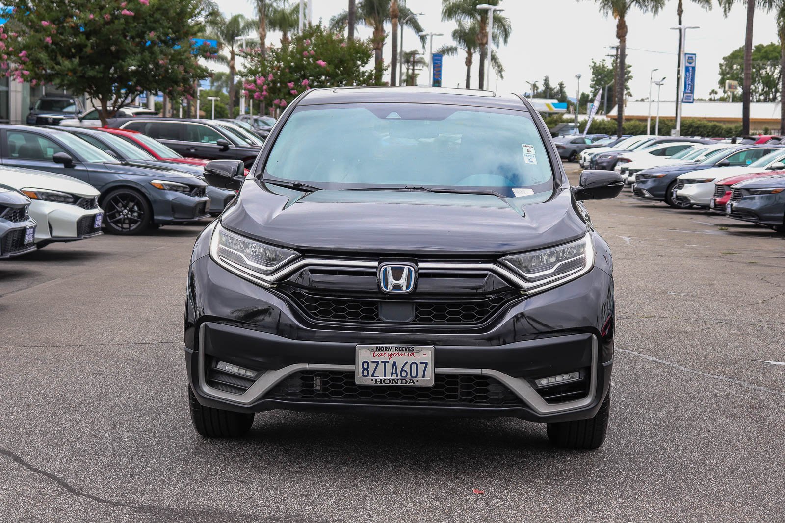 Certified Used 2022 Black Honda EX-L image 2