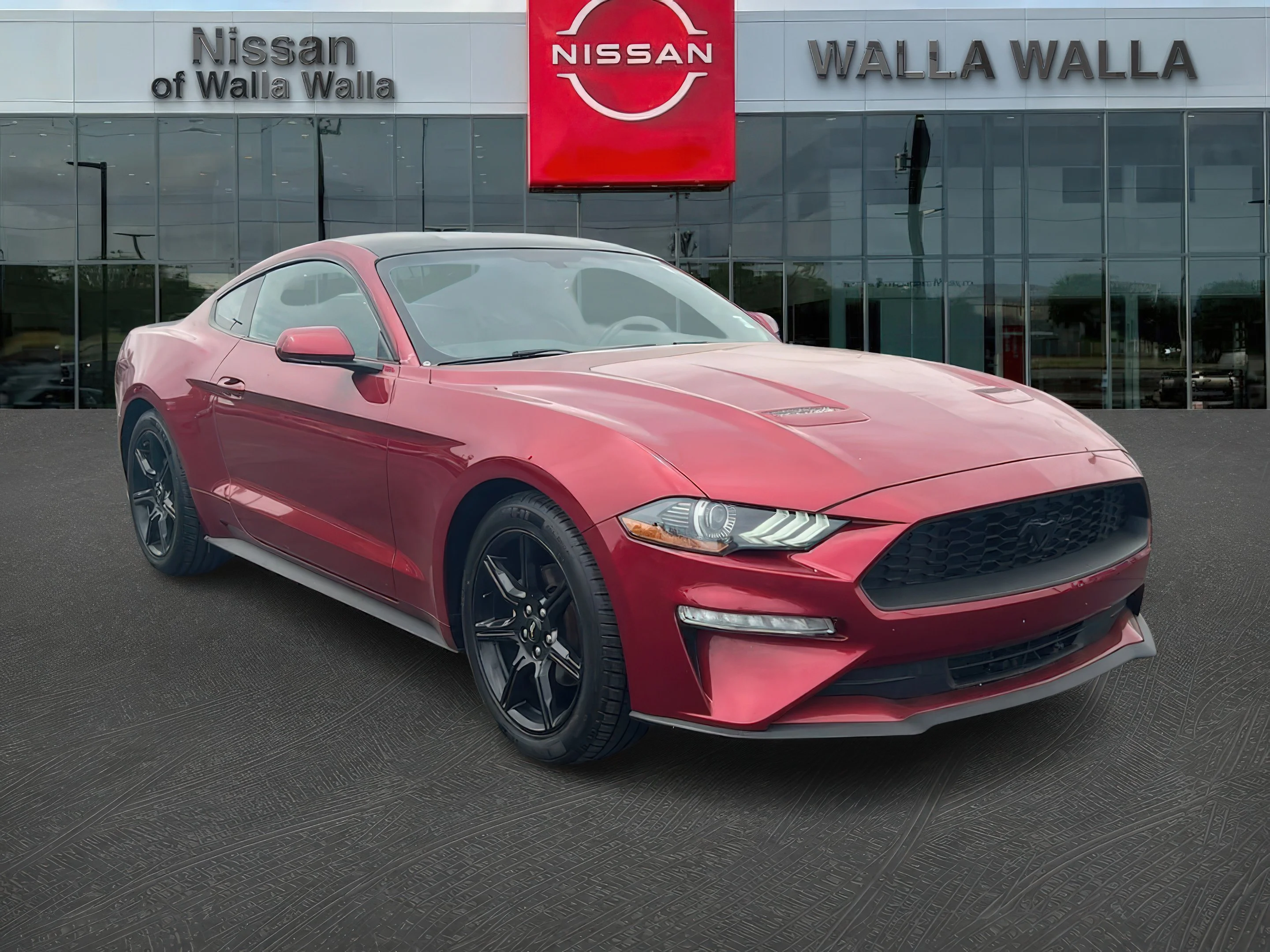 2019 Ford Mustang EcoBoost Coupe's photo