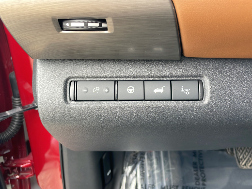 Used 2023 Red Nissan Platinum image 19