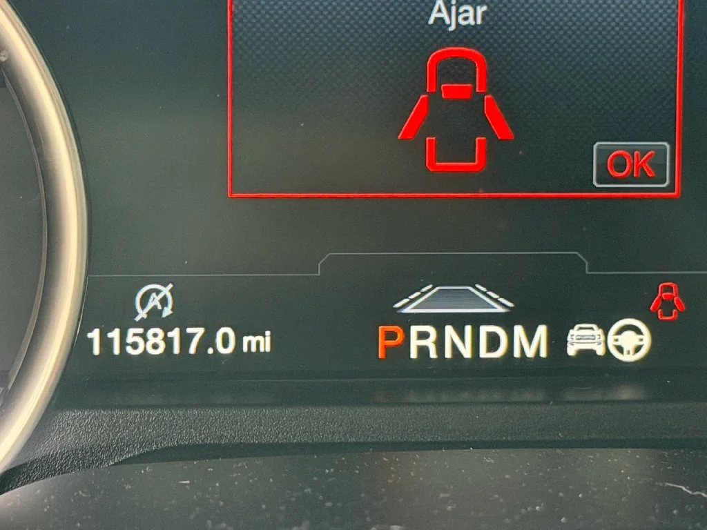Used 2020 Blue Ford Raptor image 12