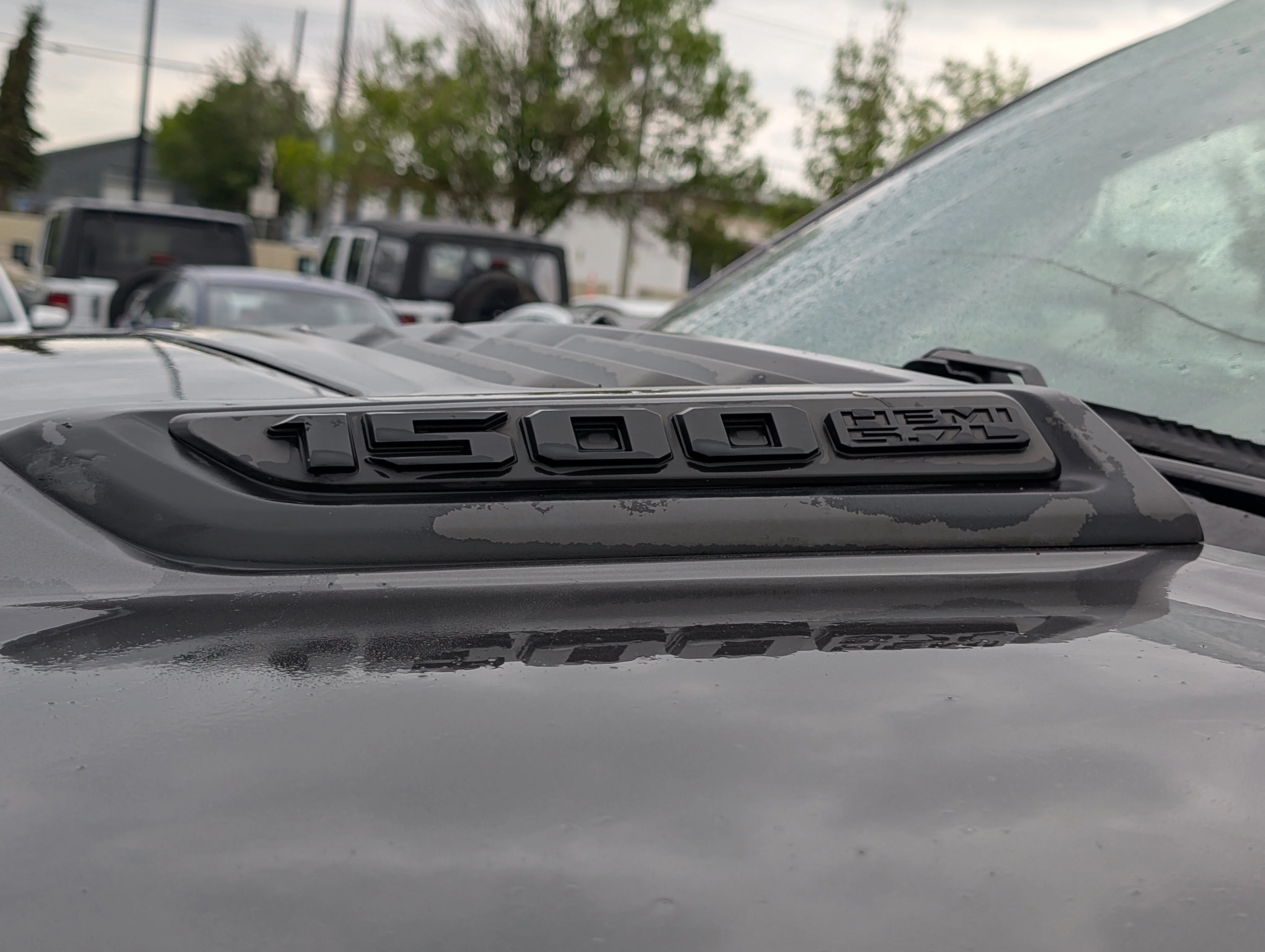 Used 2020 Granite Crystal Metallic Ram Sport image 8