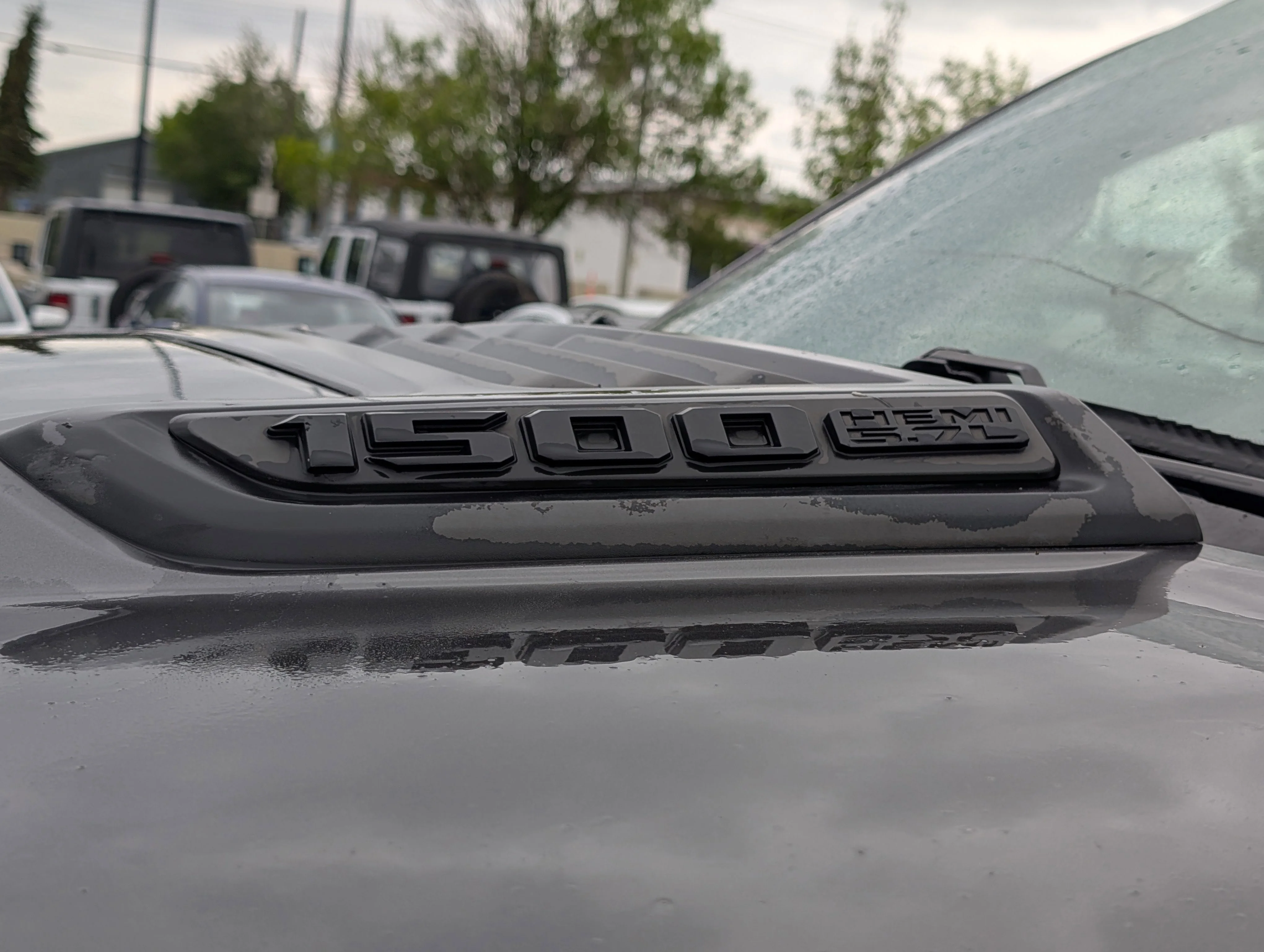 Used 2020 Granite Crystal Metallic Ram Sport image 8