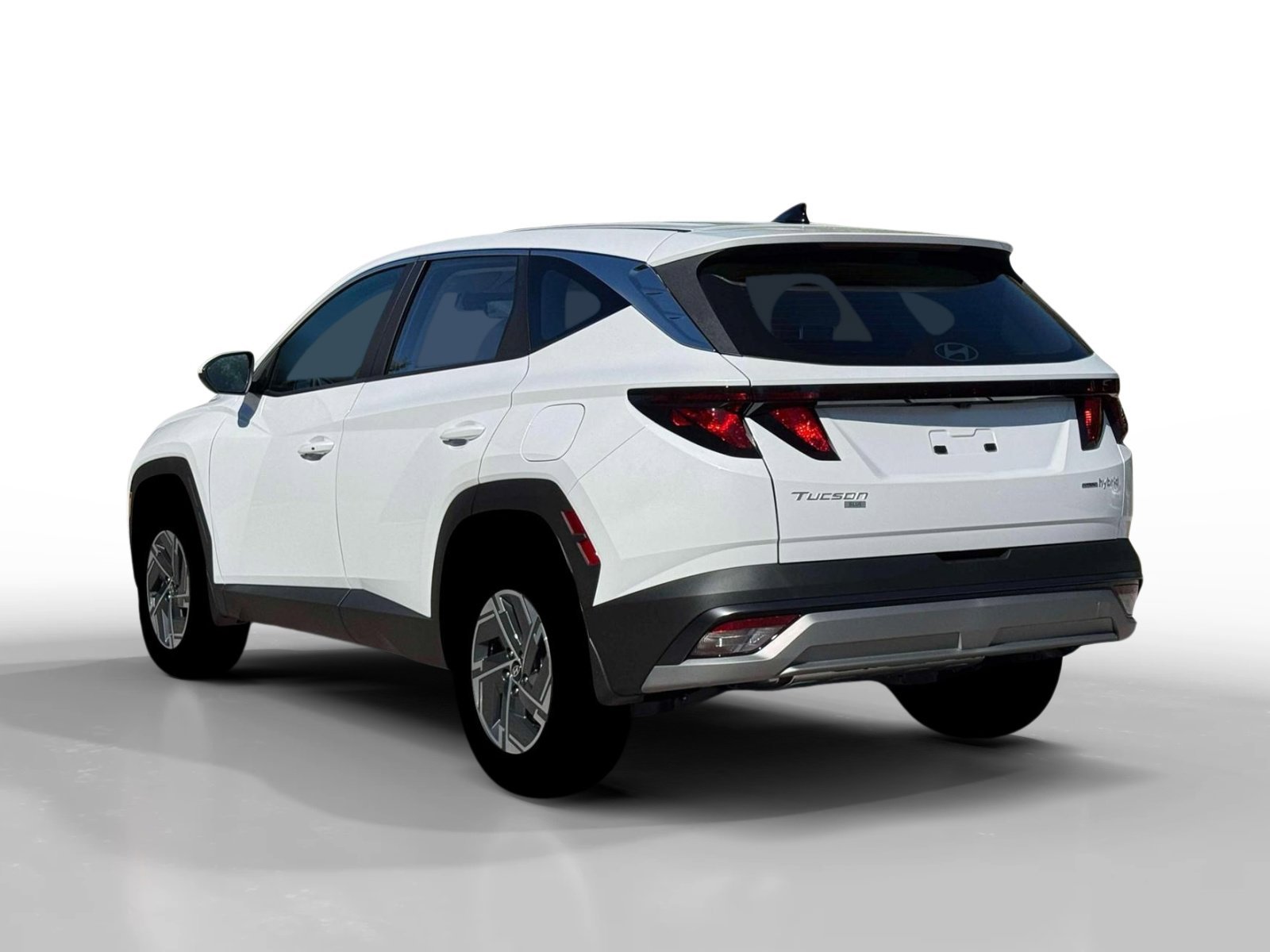 New 2026 Creamy White Pearl Hyundai Blue image 5