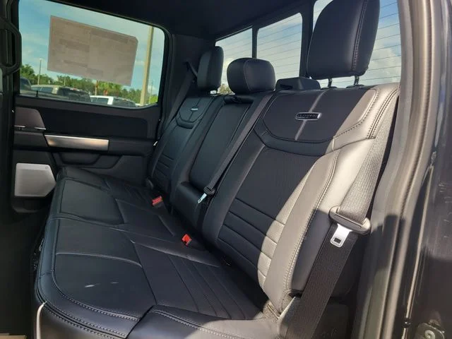 New 2026 Black Metallic Ford Platinum image 13