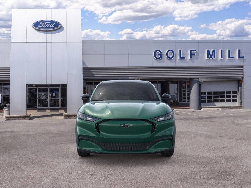 New 2026 Eruption Green Metallic Ford Premium image 6