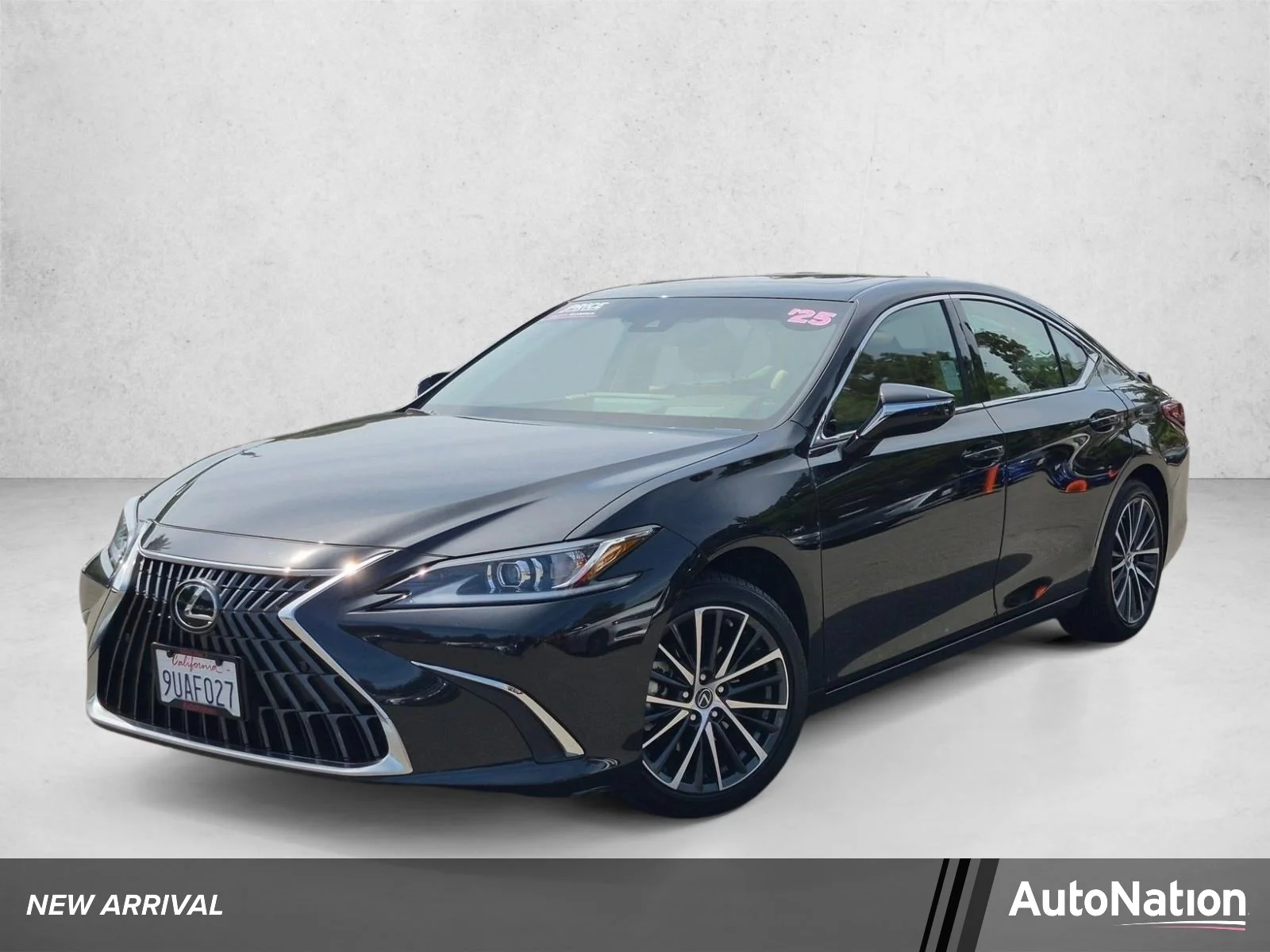 2025 Lexus ES 300h 300h's photo