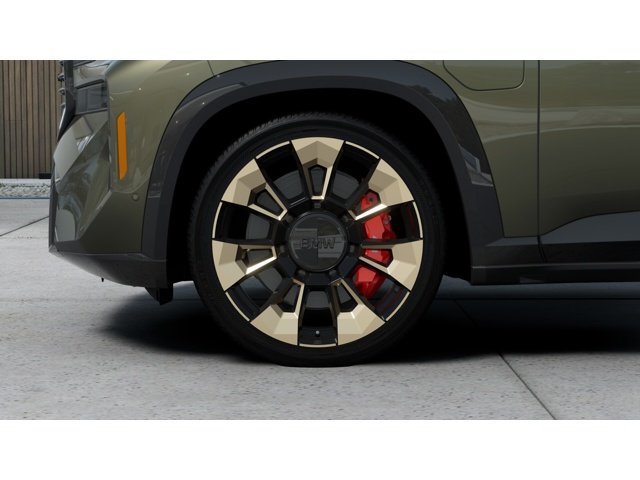 New 2026 Brass Metallic BMW Label image 7